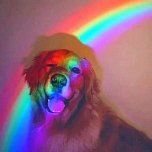 Meet your Posher, Marisa